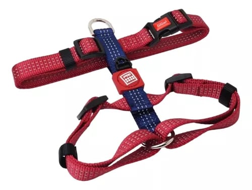 Arnés Linea Clásica Gigwi Burdeo L1