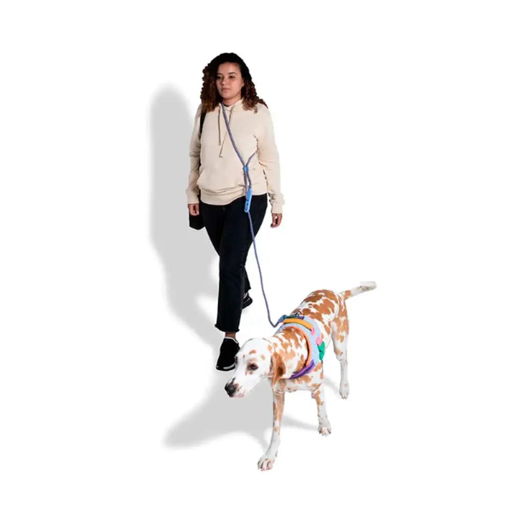 Correa Handsfree Zeedog Andromeda2