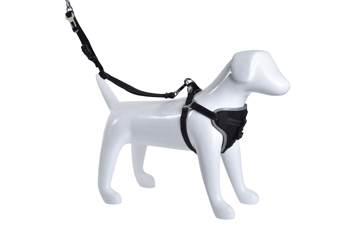 Arnes Multiuso Mascan1