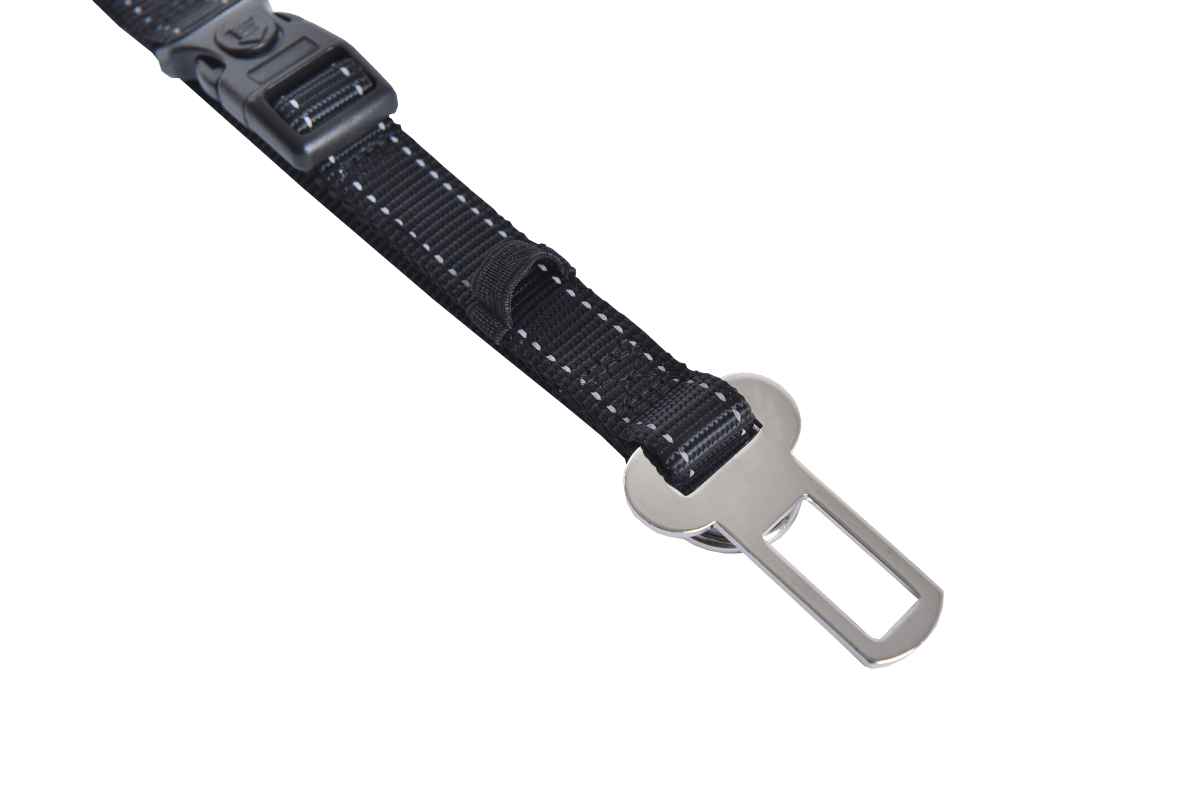 Arnes Multiuso Mascan3