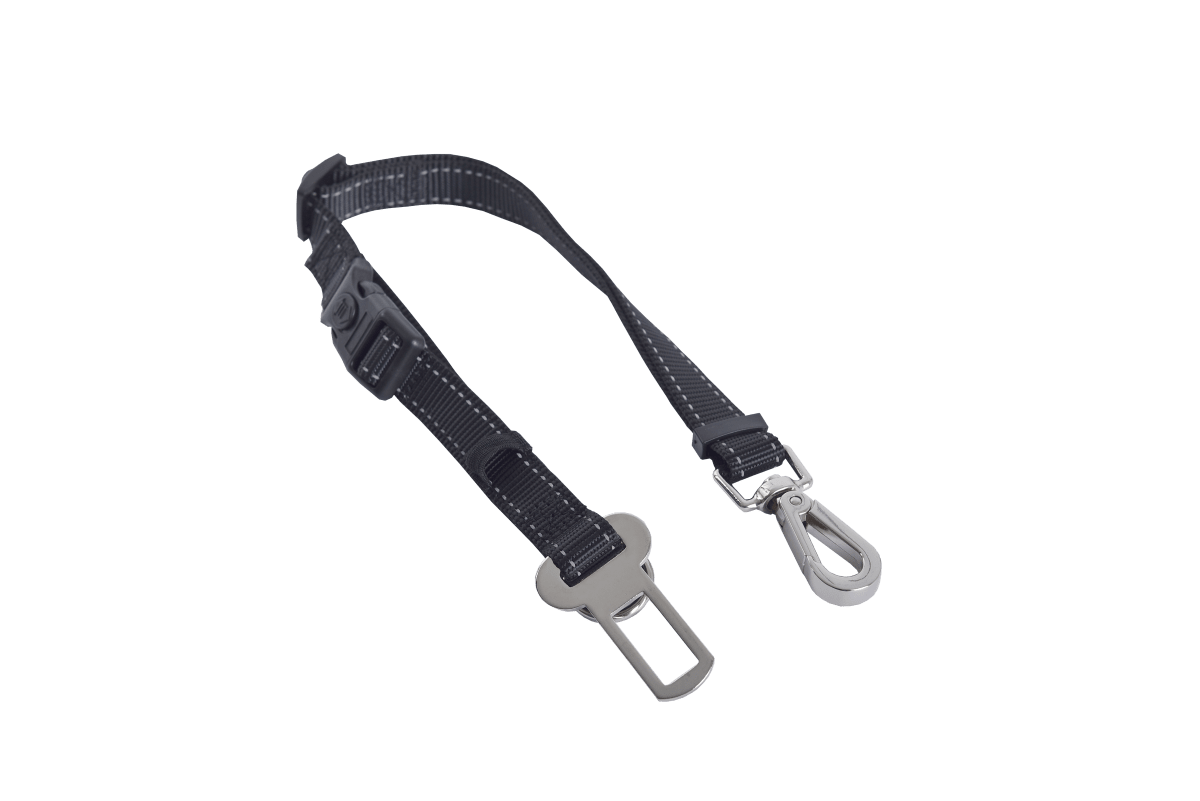 Arnes Multiuso Mascan4