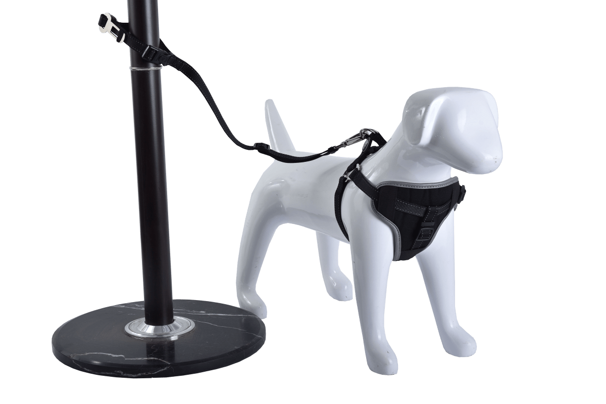 Arnes Multiuso Mascan7