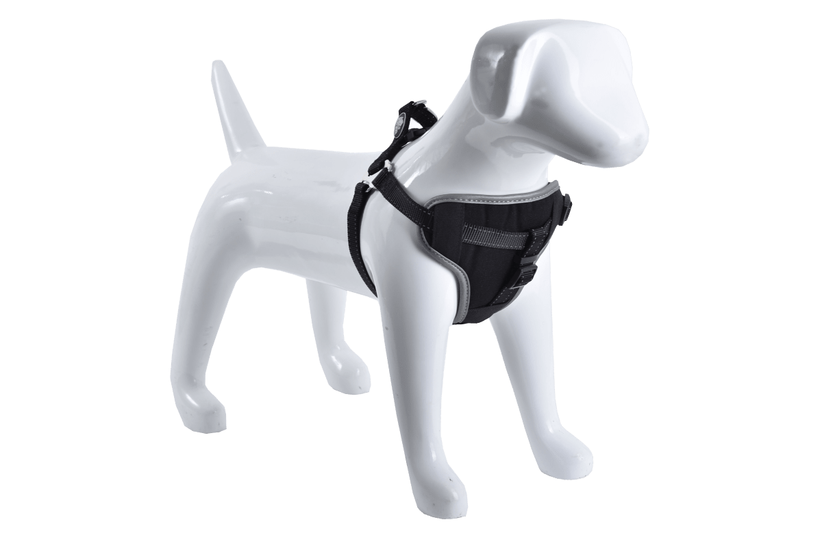 Arnes Multiuso Mascan2