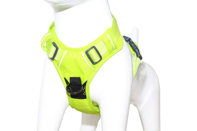 Arnes deportivo Mascan Fluor Lima4