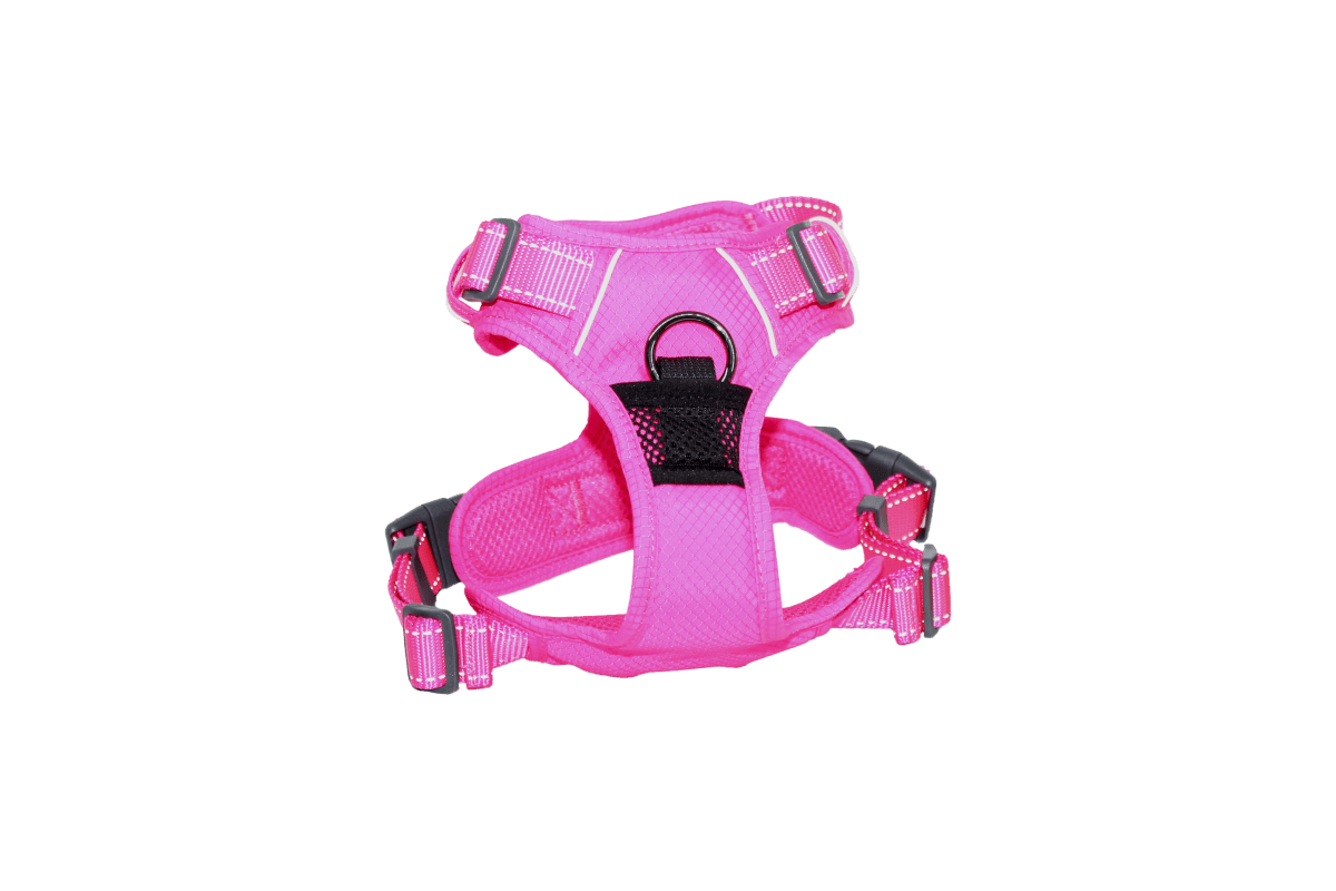 Arnes Deportivo Mascan Fluor Rosado2