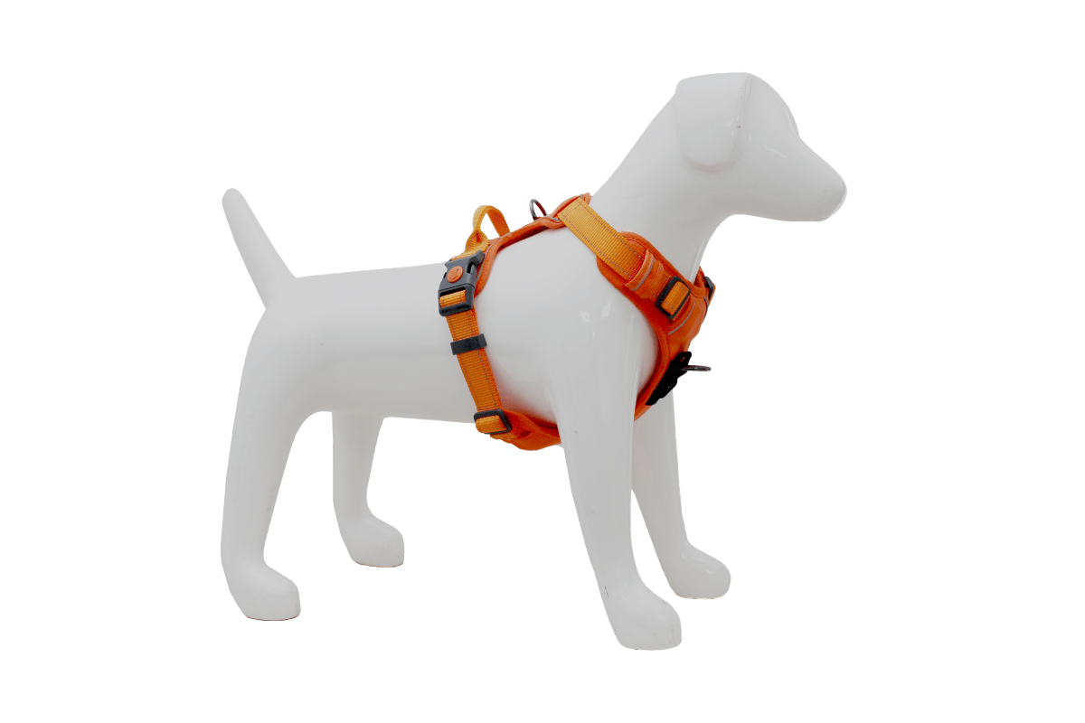 Arnes deportivo Mascan Fluor Naranjo2