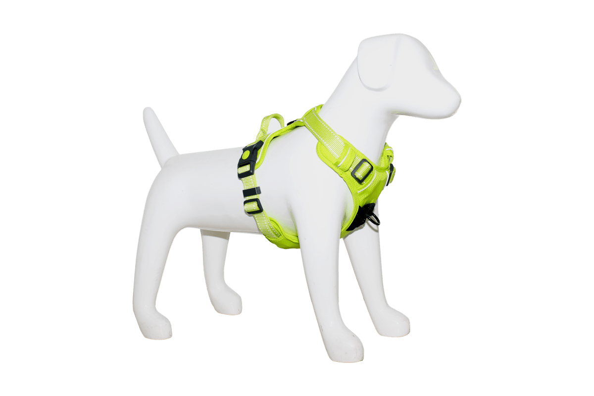 Arnes deportivo Mascan Fluor Lima1