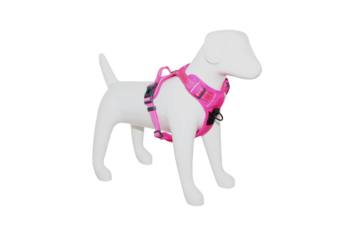 Arnes Deportivo Mascan Fluor Rosado3