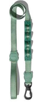 Zeedog Ruff Leash Army Green1