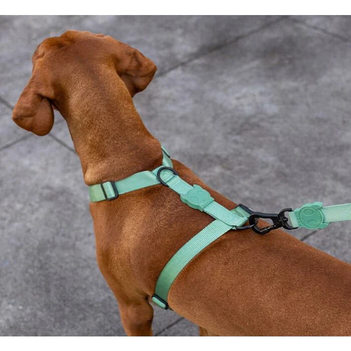 Zeedog H Harness Army Green2