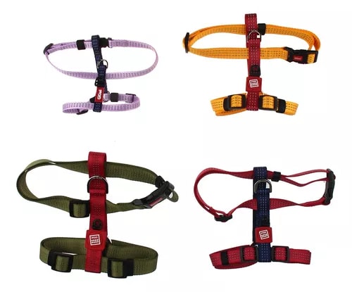 Arnés Linea Clásica Gigwi Verde-Burdeo XL3