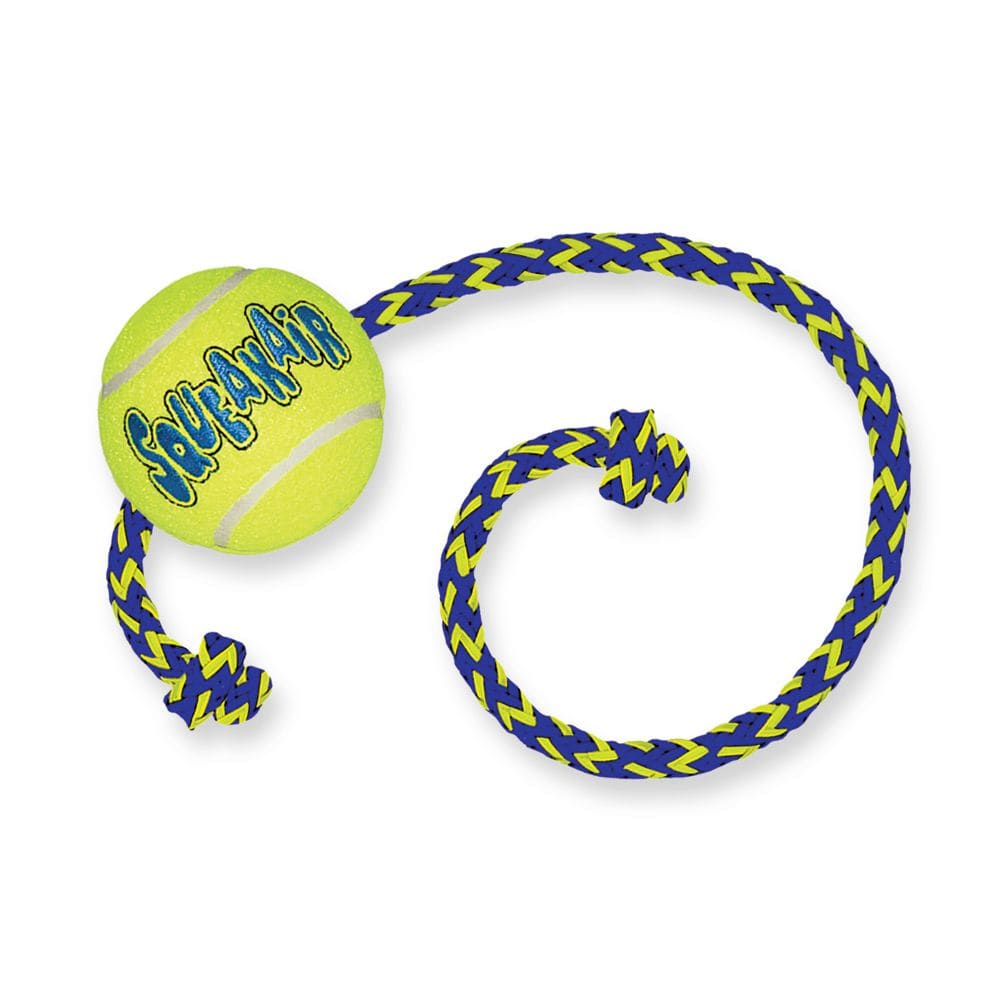 Kong Ball Air With Rope2