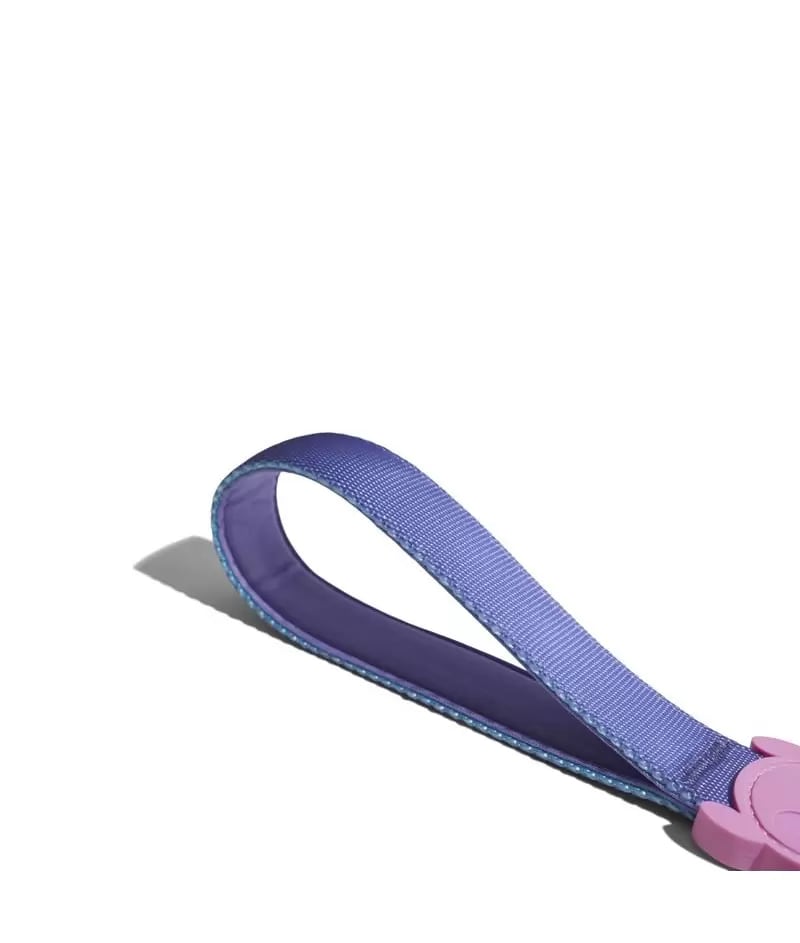 Zeedog Ruff Leash Aurora3
