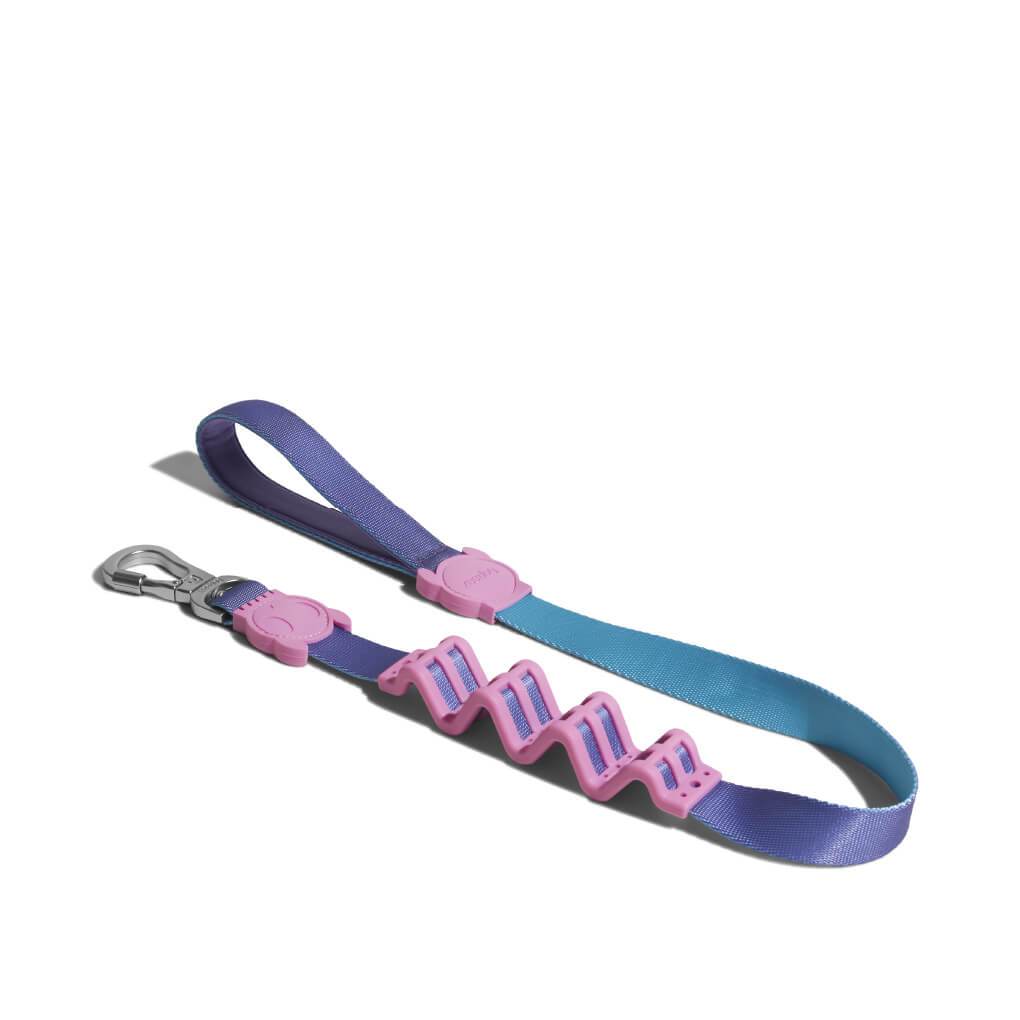 Zeedog Ruff Leash Aurora1