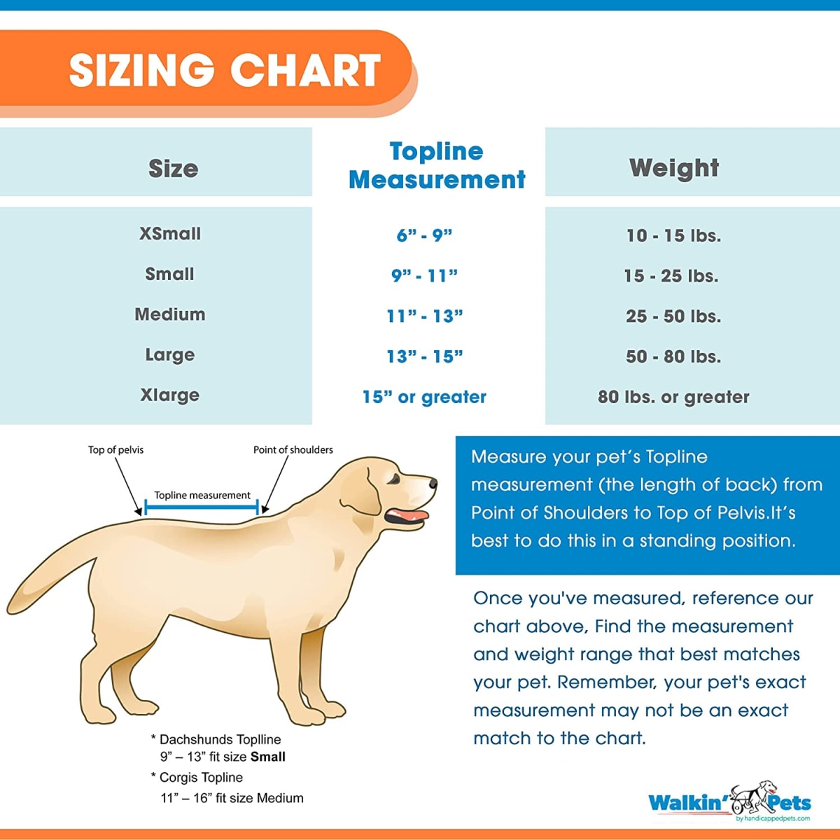 Warrior Rear Harness - Camo Arnes trasero7