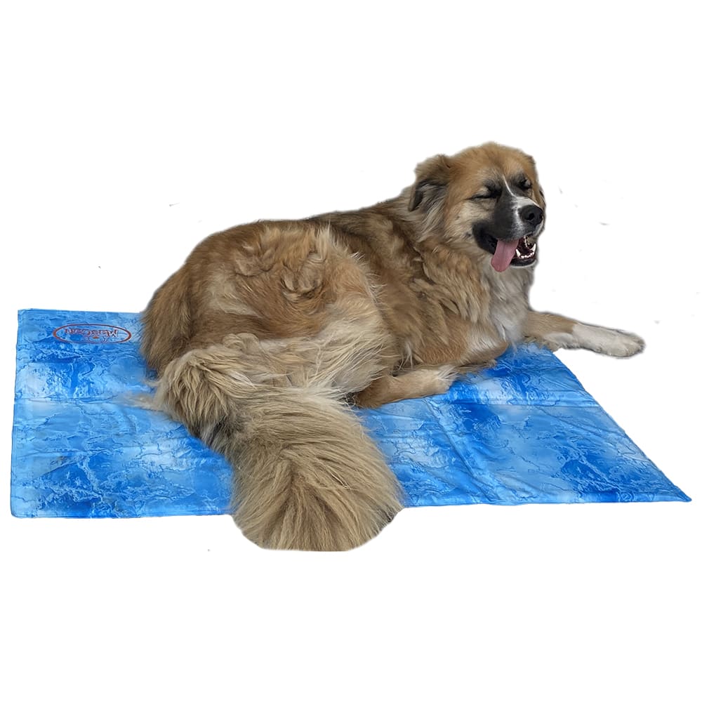 Alfombra con Gel Auto-Refrigerante Mascan1