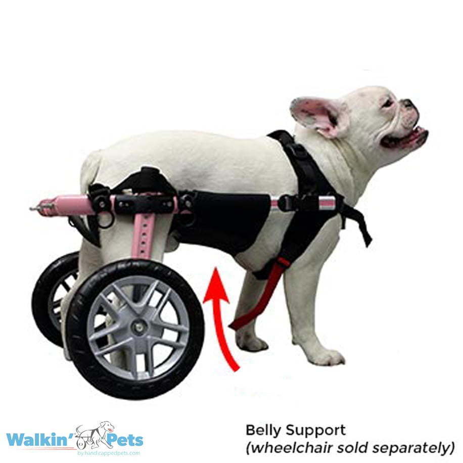 Soporte de vientre - Accesorio para silla Walkin2