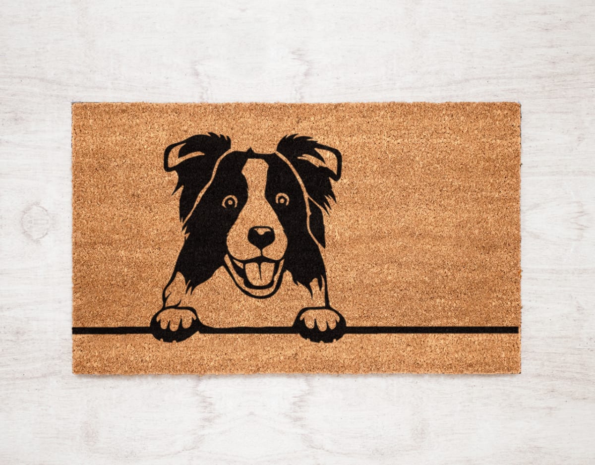 Felpudo Kokomat Border Collie1