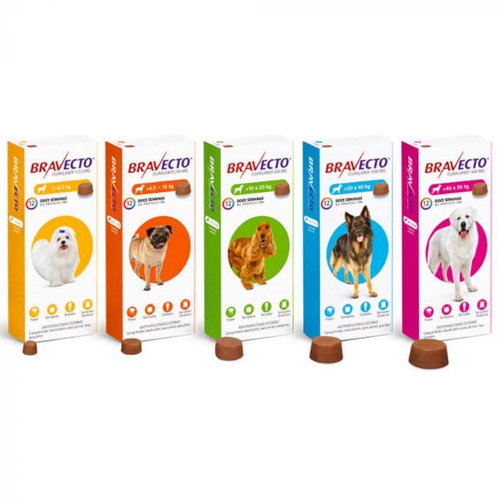 Bravecto Perro - Antiparasitario externo1