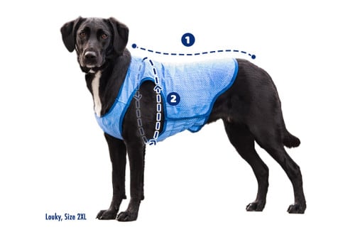 Ice vest - Chaleco refrigerante GF pet4