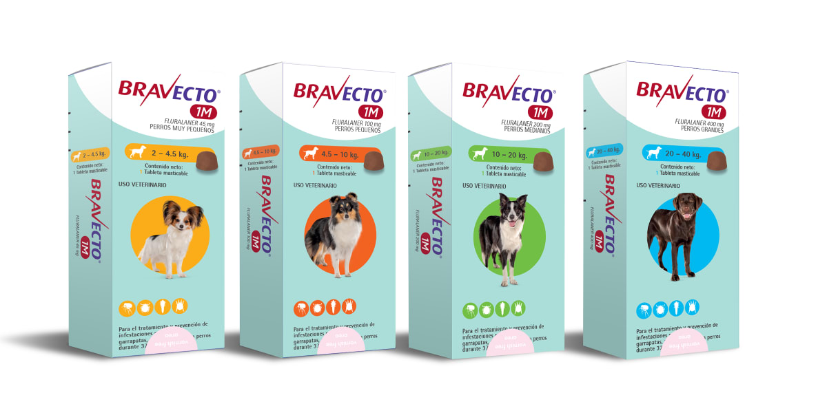 Bravecto Perro 1M1