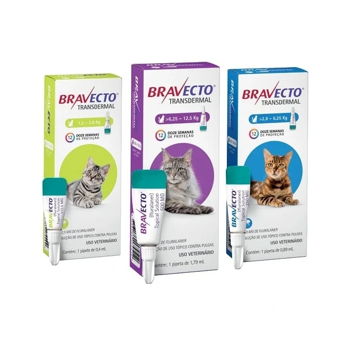 Bravecto Gato - Antiparasitario externo4