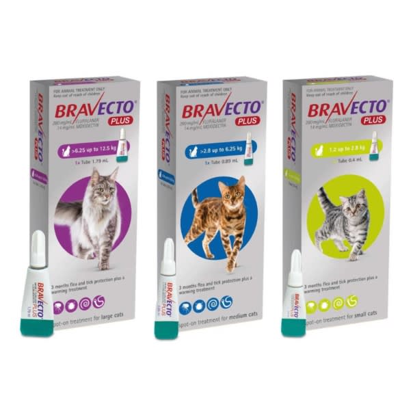 Bravecto Plus Gato - Antiparasitario externo e interno1