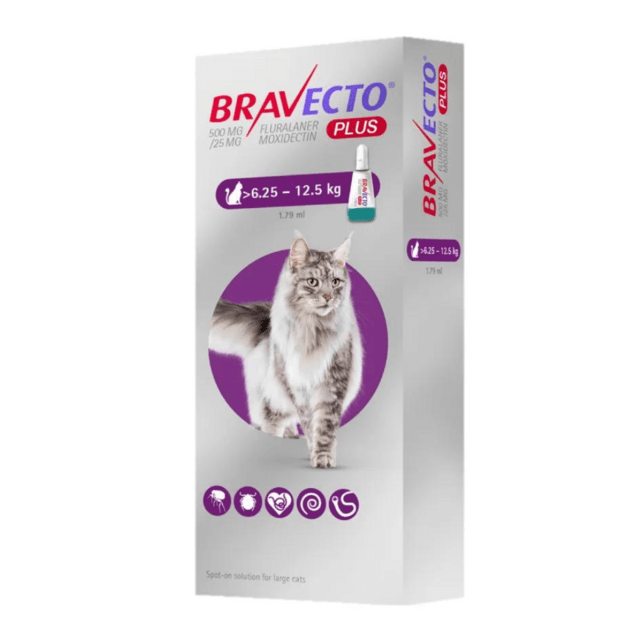 Bravecto Plus Gato - Antiparasitario externo e interno4