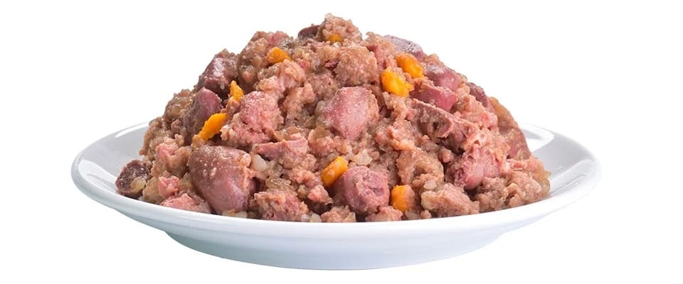 BRIT Fresh Duck with Millet 400 GR2