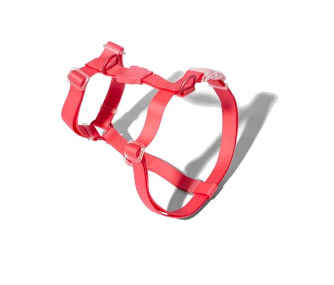 Zeedog H Harness Neopro Bubblegum4