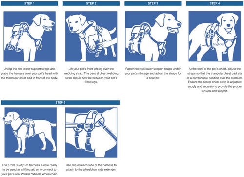 Arnes de soporte delantero Buddy Up - Walkin pets3