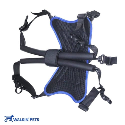 Arnés de soporte trasero Buddy Up - Walkin pets2