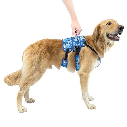 Arnes de soporte delantero Buddy Up - Walkin pets2