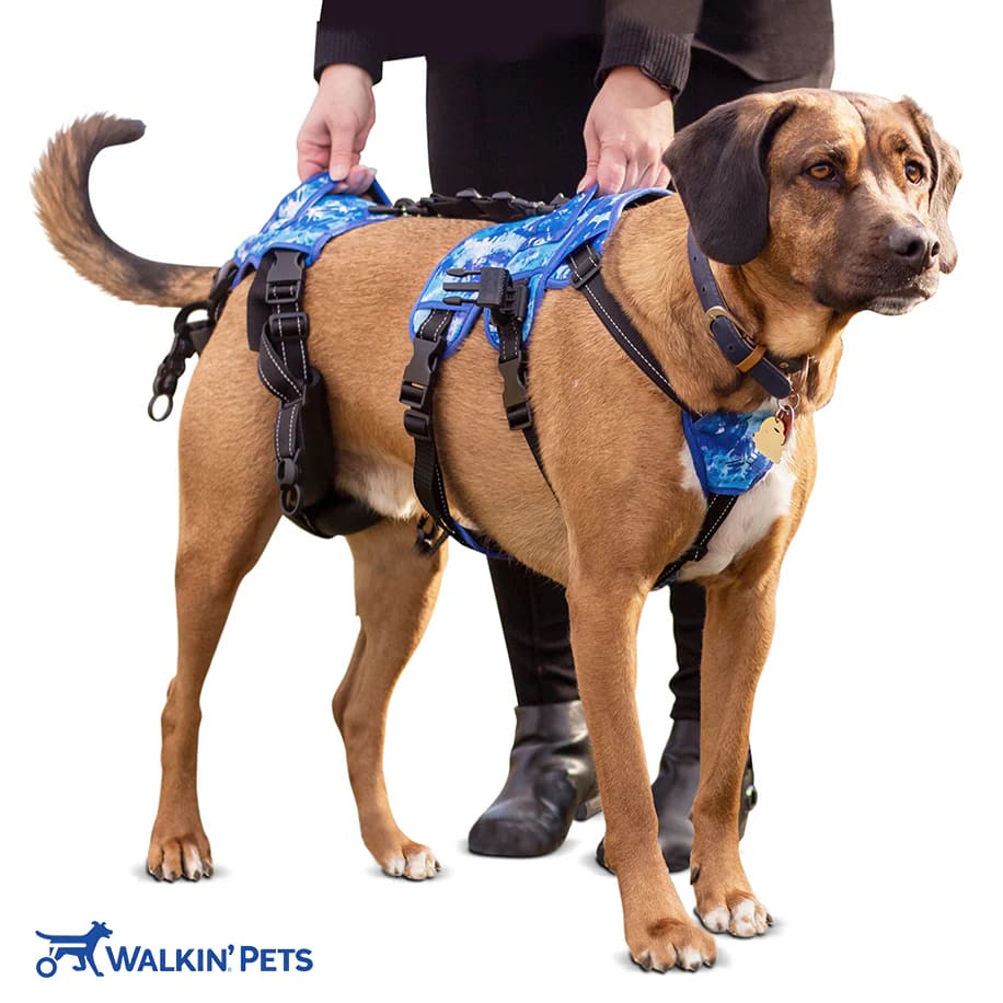 Arnes de soporte delantero Buddy Up - Walkin pets5
