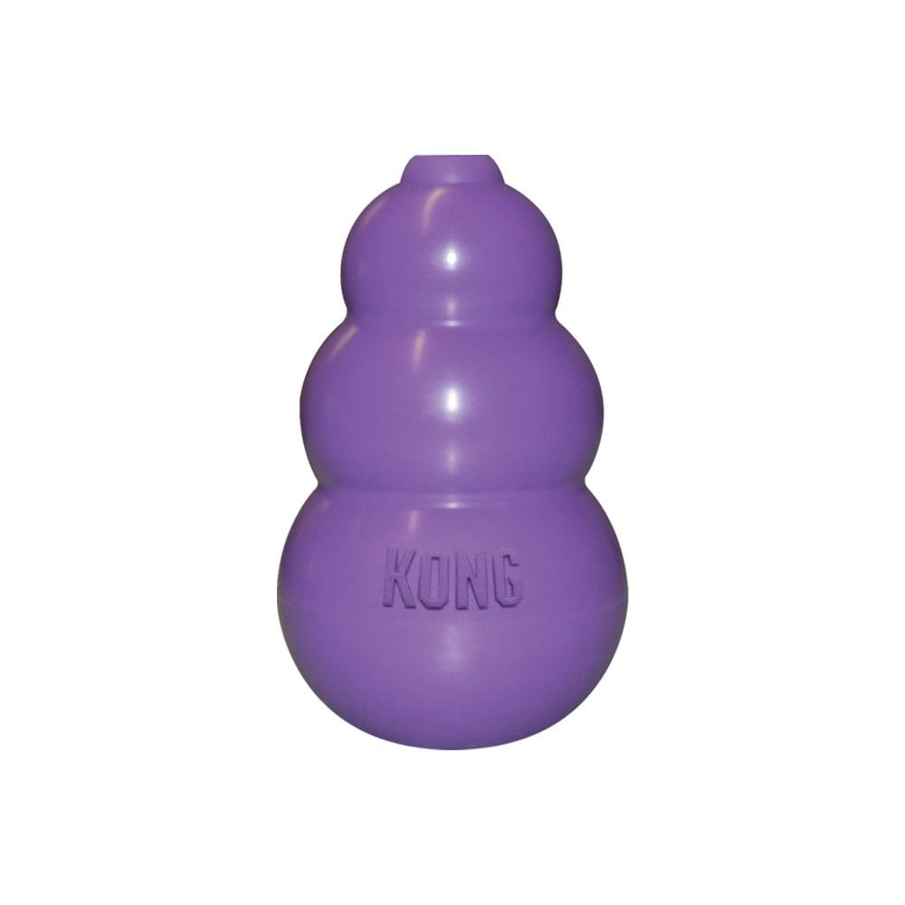 Kong Kitty Kong3