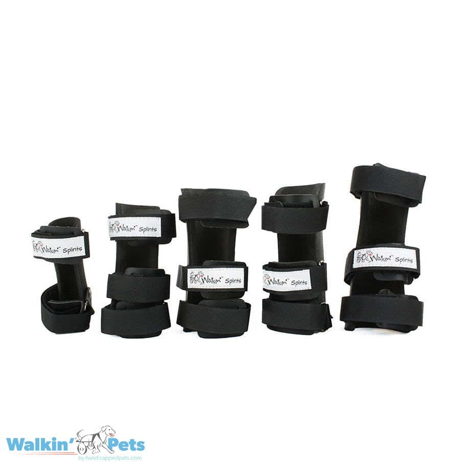 Carpal splint - Férula carpiana (mano) Walkin Pets4