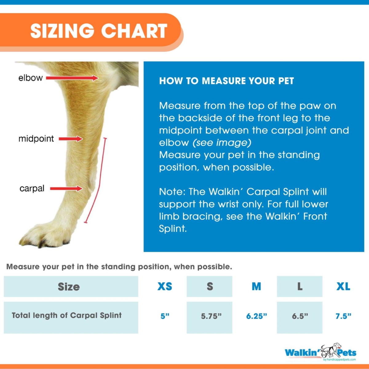 Carpal splint - Férula carpiana (mano) Walkin Pets5