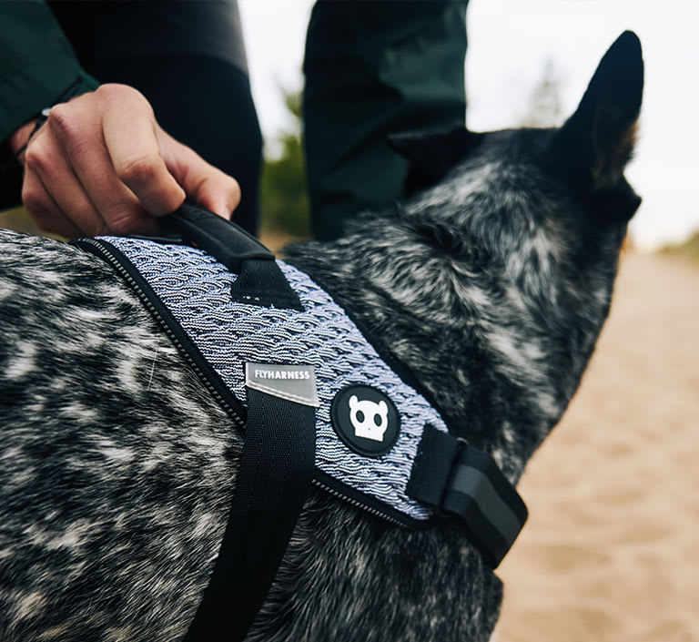 URBAN FLYHARNESS Zee.dog2