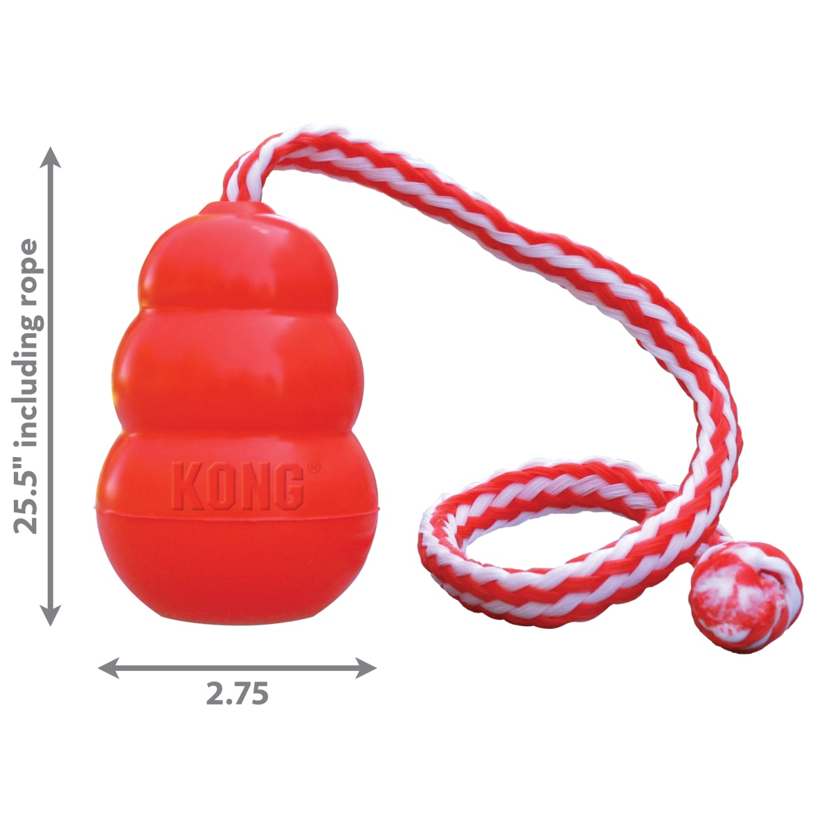 Kong Aqua3