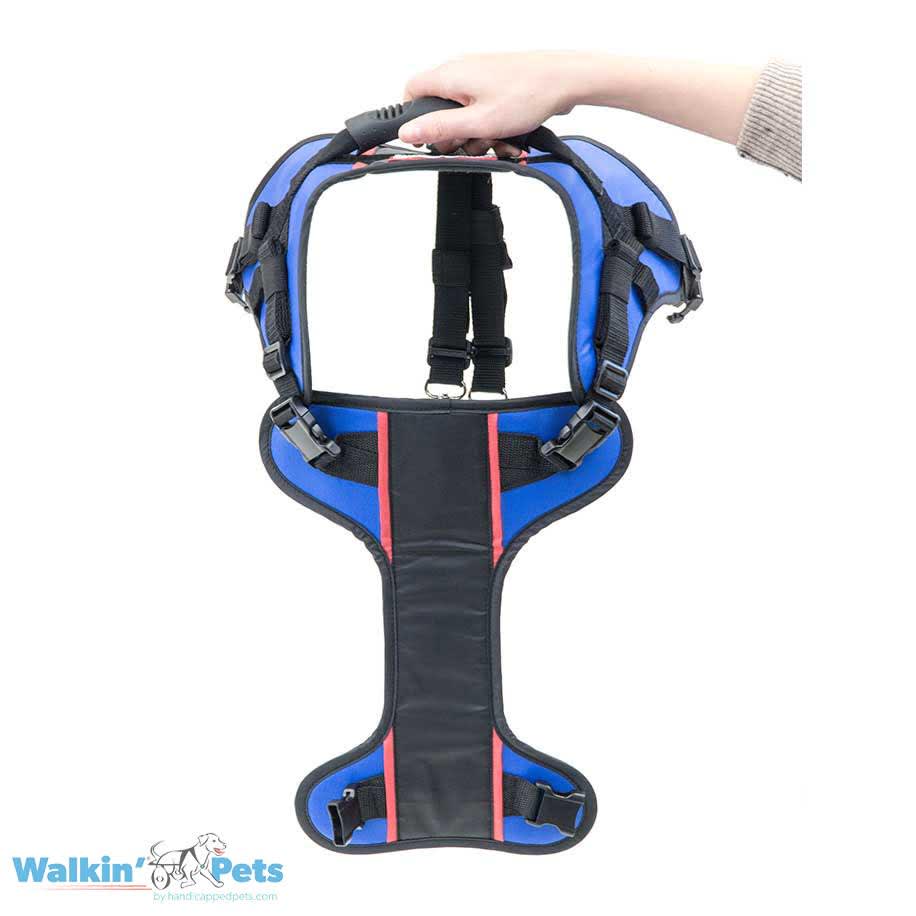 Walkin' Lift Combo Delantero + Trasero3