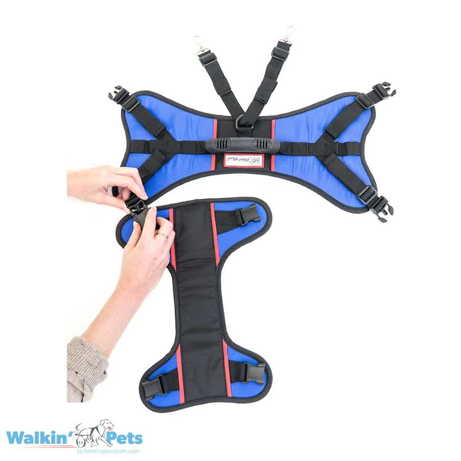 Walkin' Lift Combo delantero - Arnes delantero5