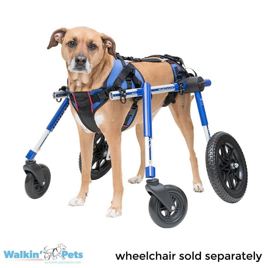 Walkin' Lift Combo Delantero + Trasero8