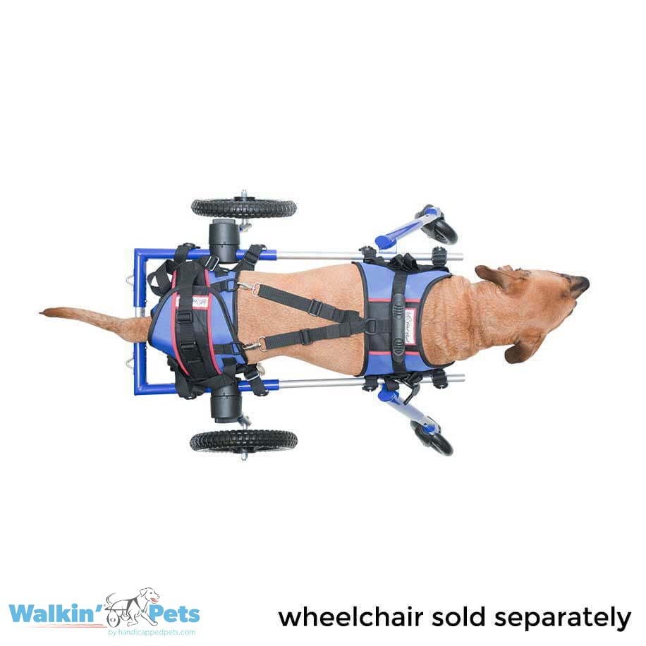 Walkin' Lift Combo trasero - Arnes trasero4