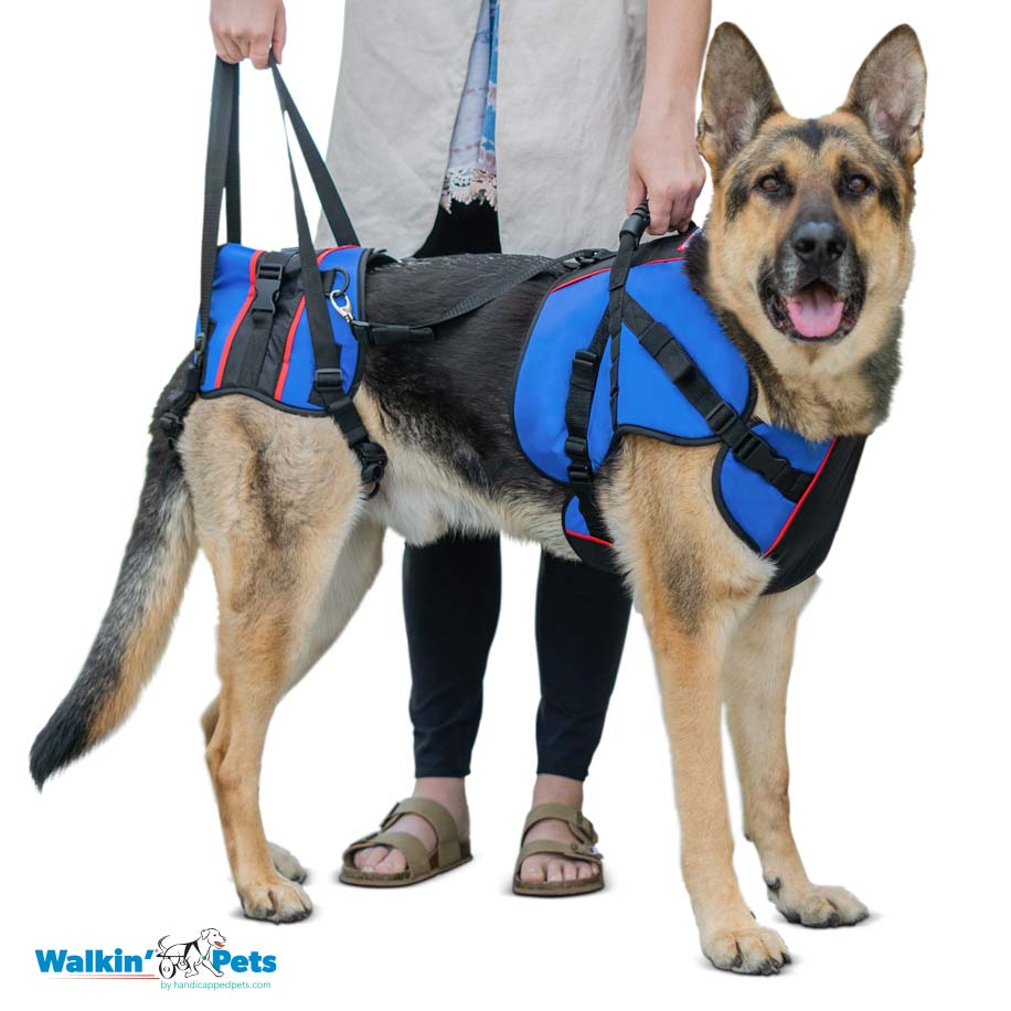 Walkin' Lift Combo trasero - Arnes trasero5