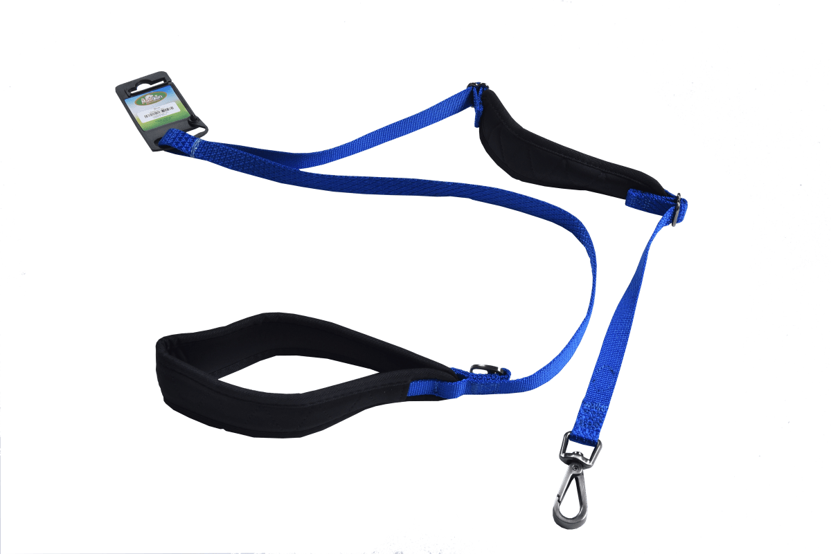 Correa Mascan Doble Agarre Azul1