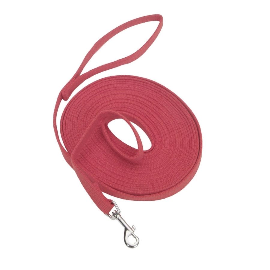 Correa cotton web dog training3