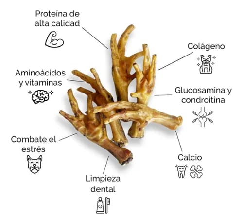 Patache 65 gr - Patas de pollo deshidratadas2