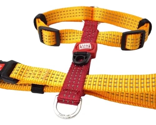 Arnés Linea Clásica Gigwi Amarillo M1