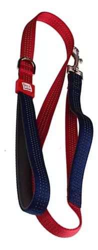 Correa Linea Clásica Gigwi Burdeo L3