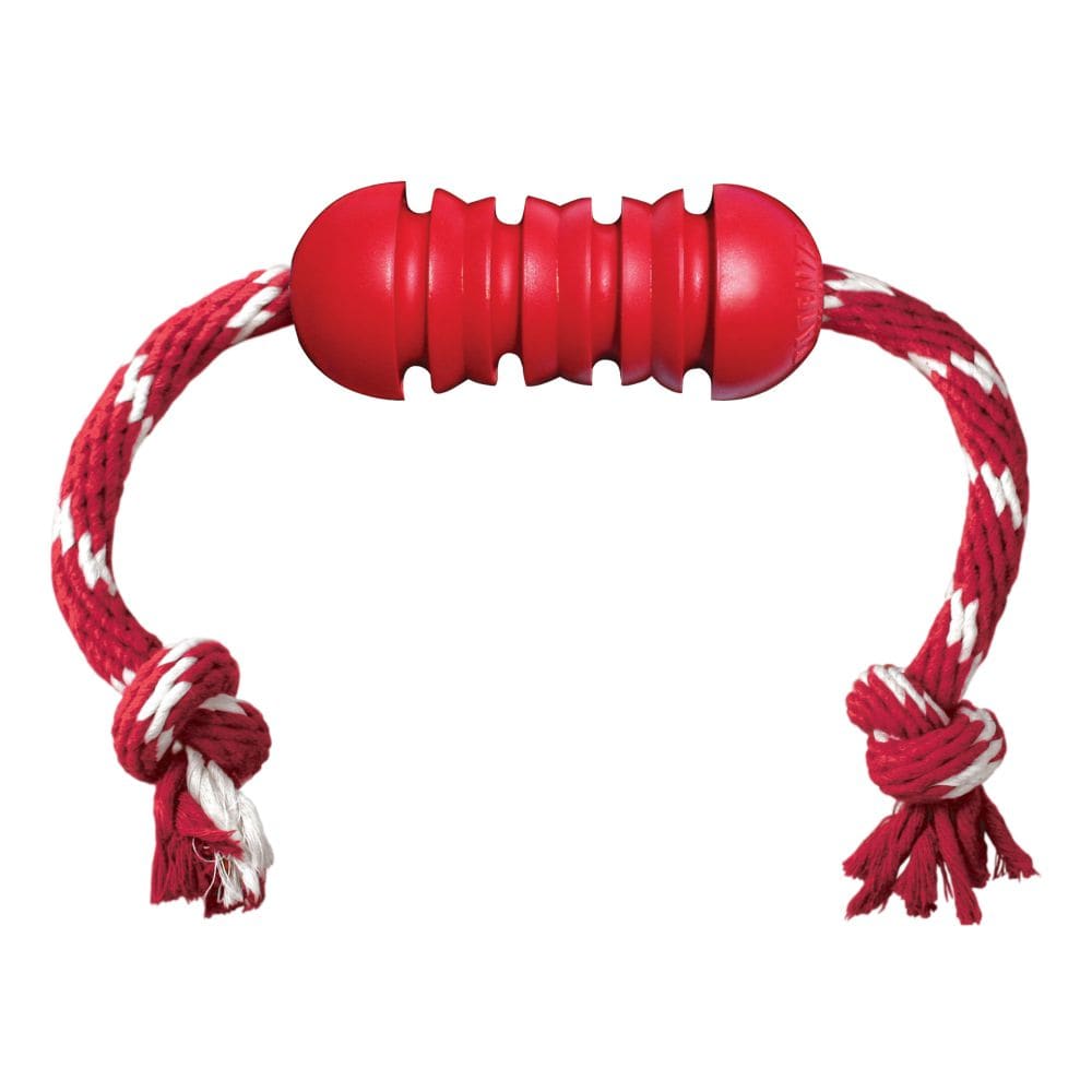 Kong Dental With Rope2